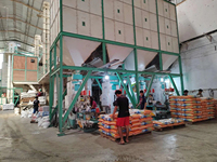 Máquina de Llenado y Cosido Automático de Sacos de Yute Ewinall DCS-50FE-C de 50 kg con Cortahilos Automático y Transportador Elevador