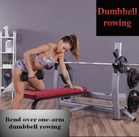 Équipement de fitness multifonctionnel moderne et robuste pour la maison : Banc de musculation, support pour haltères, rack à barres, paires d'haltères métalliques, pile de poids à câble pour musculation intérieure