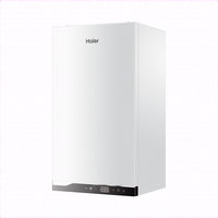 Chauffe-eau mural intelligent à gaz naturel Haier, nouveau design, en acier inoxydable, avec petit réservoir, pour camping-car et extérieur