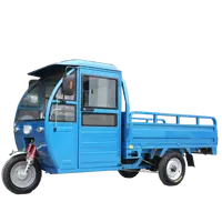 Novo triciclo elétrico cabine carga triciclo