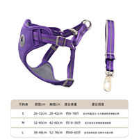 Laisse pour chien de luxe réfléchissante, imperméable, en nylon et coton rembourré, avec boucle à dégagement rapide, tailles réglables, design personnalisé de dessin animé