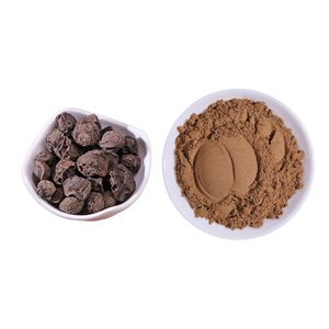 高品質食品グレード梅エキス粉末溶剤抽出濃縮水溶性配合成分添加なし - Product Image 2