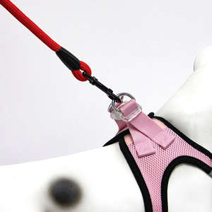 Grosir reflektif tahan lama modis anjing berjalan tali Breakaway pengait putar perlengkapan hewan peliharaan warna-warni kalung anjing memimpin - Product Image 4
