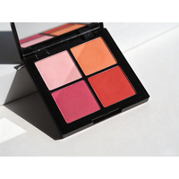 Palette de poudre de fard à joues minéral longue durée à étiquette privée OEM/ODM avec des finitions mates et scintillantes - Faible MOQ Maquillage