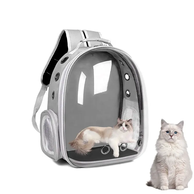 حقيبة ظهر محمولة شفافة للخروج مصممة للقطط حقيبة ظهر للقطط تسمح بتخلخل الهواء حقيبة لحمل الحيوانات الأليفة
