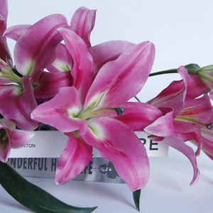 Lys dans <span class=keywords><strong>la</strong></span> Grèce antique : les lys étaient associés à <span class=keywords><strong>la</strong></span> <span class=keywords><strong>déesse</strong></span> Héra et symbolisaient <span class=keywords><strong>la</strong></span> pureté et <span class=keywords><strong>la</strong></span> <span class=keywords><strong>maternité</strong></span>. Couleurs vives. Durables. - Product Image 1