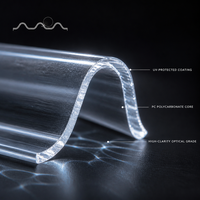Tuile de toit transparente en polycarbonate ondulé pour terrasse, auvent et construction de toits