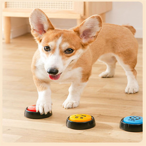 Funny Pet <strong>Dog</strong> Training Toys Plastic Talking Recordable <strong>Dog</strong> <strong>Buttons</strong> for Communication - Product Image 5
