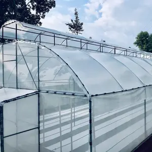 Single Span Tunnel Arch Agricultural Natural Ventilation Top Vent Greenhouse For Tropical Use