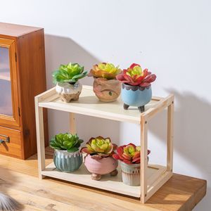 Estante de exhibición de suculentas CallaFloral para interiores, soporte de madera de dos niveles para plantas, decoración del hogar, arreglo de paisajes en miniatura - Product Image 1