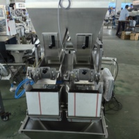 Machine d'emballage automatique à double tête avec peseuse linéaire multifonction pour granulés, idéale pour les pistaches