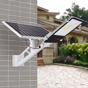 Sản phẩm mới ngoài trời không thấm nước Ip65 led vườn năng lượng mặt trời được hỗ trợ ánh sáng đường phố