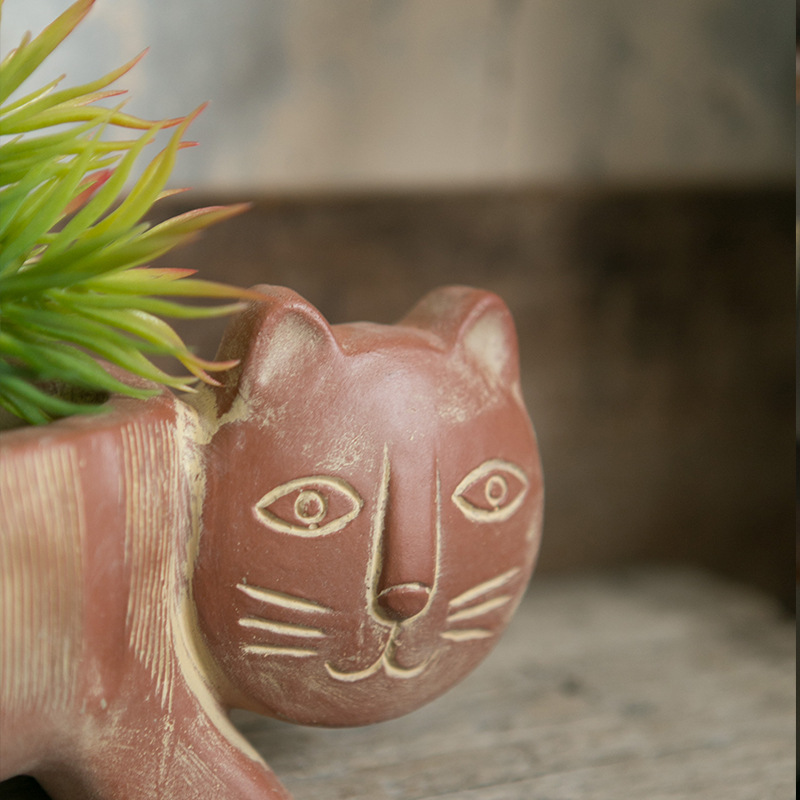 Gatto arancione