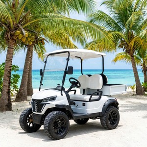 Carrito de Golf Todoterreno Comercial de 2 Plazas, Motor de CA de 60V 4KW, 30-50km/h, 90km de Autonomía, Buggy Turístico para Villas y Resorts de Lujo [Compacto De - Product Image 1