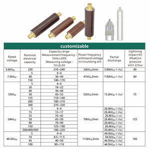 Bộ Chia Điện Áp Điện Dung Cảm Biến Điện Dung Que Lõi Điện Dung Vật Liệu Gốm Điện Áp Thấp, Điện Áp Trung Bình Và Điện Áp Cao - Product Image 6