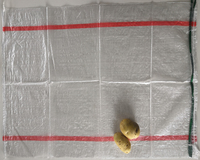La Chine Fabricant Transparent pp Sac tissé pour la pomme de terre