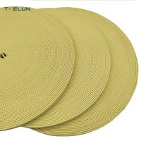 15*3mm Aramid-Gurtband Hochfestes, Hitzebeständiges, Dehnungsarmes und Abriebfestes Gewebe für Gurtzeug, Fallschirme, Hebevorrichtungen und Outdoor-Rigging