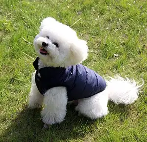 Пальто для собак от производителя домашних животных, теплая Дизайнерская куртка на флисовой подкладке для собак, зимняя мягкая ветрозащитная одежда для щенков, оригинальные костюмы для домашних животных