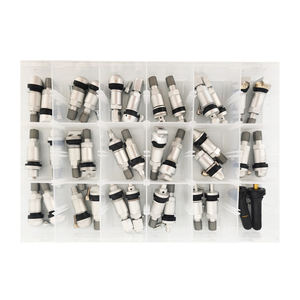 36 Pièces de Tiges de <span class=keywords><strong>Valve</strong></span> TPMS en Alliage d'Aluminium Robuste à Encliquetage, Fourniture en Gros de Valves Sans Chambre à Air pour la Réparation des Pneus de Voiture et le Remplacement du Capteur - Product Image 1