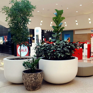 Circular Durable PE Coated Modern Nordic Style Fiberglass FRP Planter <b>Pot</b> Customized Color Wood Case Packing <b>Large</b> Garden - Product Image 1