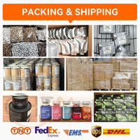 CHTNature OEM Sachets et Boîtes de Poudre de Latte UBE, Poudre de Lait UBE saveur personnalisée, Poudre d'Igname Violette UBE