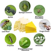 Pièges collants longue durée, imperméables et résistants au soleil pour éloigner les insectes toute l'année