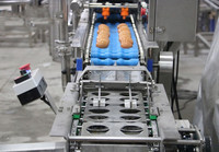 Machine à casser les œufs de poule frais à haut rendement/ligne de production d'œufs liquides pasteurisés en vente