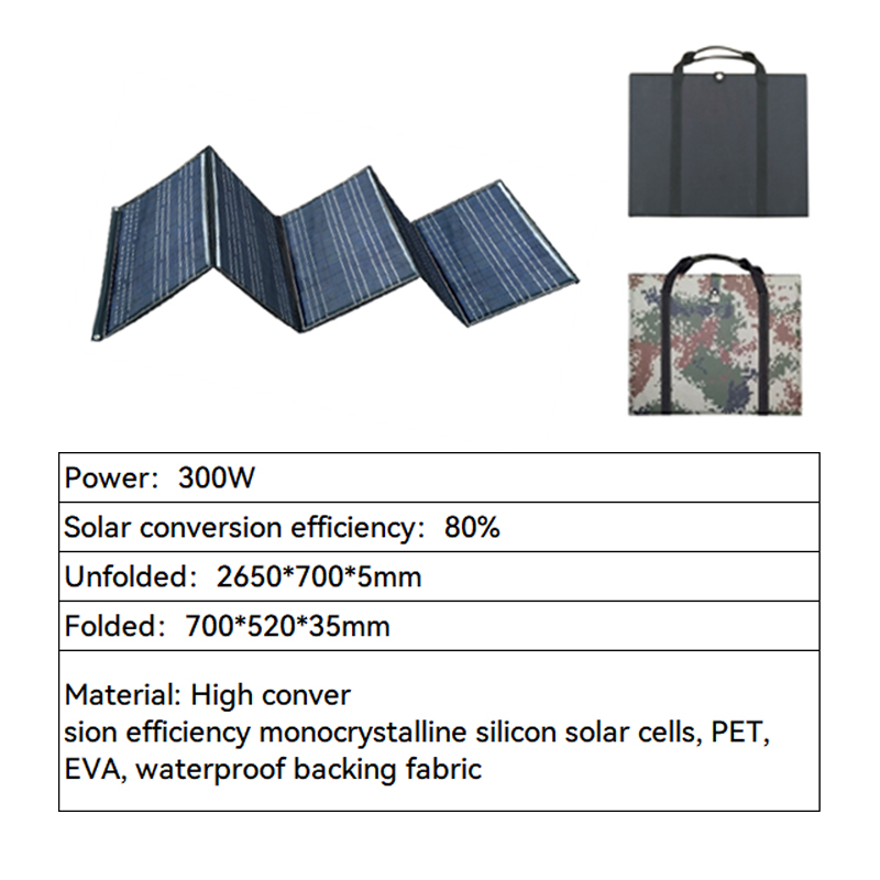 Panel Solar de 300W