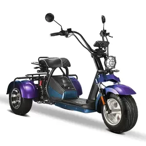 Ucuz güçlü toptan 2000w 10 inç 3 tekerlekli 2 koltuklu kiti scooter hub motor su geçirmez eec onaylı elektrikli scooter