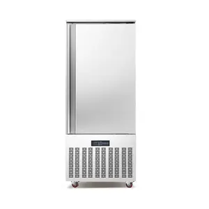 Congélateur solaire de grande capacité, 220V, pour glace au frigo, armoire de congélation, fruits de mer