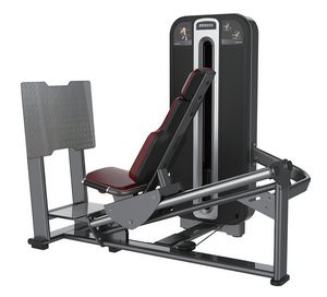 YLSY001XB610 YLSY001XB610 YLSY Machine de musculation commerciale Lat Pulldown avec fonction pour les jambes, construction en acier, pile de poids de 160 kg, certifiée CE - Product Image 5