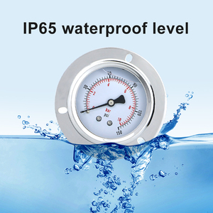 Bền rung kháng mặt bích trục đo áp suất rò rỉ bằng chứng đo áp suất Glycerol điền đo áp suất - Product Image 6