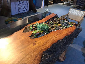 Table de salon en bois massif à bord naturel avec résine époxy et plantes succulentes, faite à la main, en bois dur naturel, pour la décoration intérieure - Product Image 2