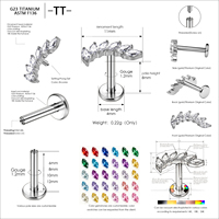 Clous de piercing pour cartilage interne, tragus et labret en titane TT ASTM F136 G23 avec zircon plaqué or, piercing corporel en titane de haute qualité