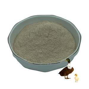 Suplements Probiotics Bacillus subtilis สำหรับสัตว์โคโปรไบโอติก - Product Image 2