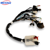 Câble de Faisceau de Câblage Personnalisé Molex Micro-fit Surmoulé E00063 pour Voiture, Conforme IATF16949, Isolation PVC, IP66, BeiXing