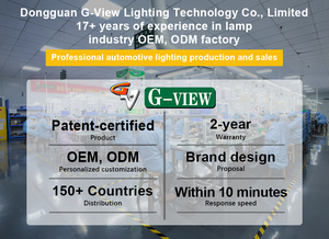 Gview công suất cao 200W <span class=keywords><strong>H4</strong></span> Led Đèn Pha Bóng đèn quạt làm mát H1 H7 H8 H11 9005 HB3 9006 HB4 xe đèn Led CANBUS tự động <span class=keywords><strong>H4</strong></span> Led Đèn Pha - Product Image 6
