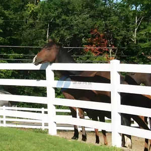Panneaux de clôture pour bétail, enclos pour chevaux, clôtures de cour, acier galvanisé revêtu de PVC, écologiques, tailles personnalisables, modélisation 3D - Product Image 6