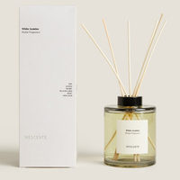 Mescente – bouteille en verre de luxe à double paroi, vente en gros, ensemble de diffuseur de parfum de chambre