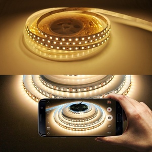 High Quality Wholesale Stripe Lights 10W 12V 24V 8mm Smart <b>Remote</b> <b>Control</b> SMD2835 Led Light Strip 12 Color 5m 10m Light for <b>TV</b> - Product Image 2