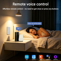 Capteur de mouvement radar micro-ondes 5.8G OEM personnalisé Smart Life, détection de présence humaine, contrôle d'éclairage Wi-Fi pour intérieur