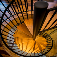 DAIYA escalier vertical en spirale interne avec balustrade en acier noir