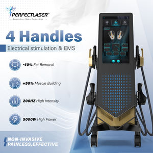 4 Başlıklı Elektromanyetik Kas Stimülasyonu EMS Zero Makinesi Fiyatı 14 Tesla 5000W Yüksek Güçlü EMS Neo Cihazı Satılık - Product Image 1
