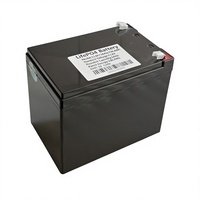 Batterie LiFePO4 rechargeable personnalisable de remplacement pour batteries au plomb 12,8 V 20 A 25 A 30 A