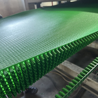 Línea de Producción de Alfombras de Césped Artificial PE Gold Rush, con Motor y Caja de Engranajes, Alta Productividad, Planta de Procesamiento Semi-Automática