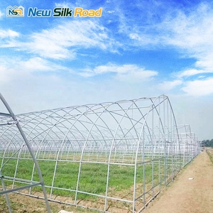 <span class=keywords><strong>Serre</strong></span> agricole à simple portée à faible coût, en acier galvanisé à chaud, avec couverture en film plastique multi-ventilation, marque NSR - Product Image 4