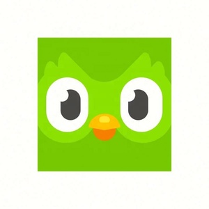 บัญชี Duolingo Pro ระดับพรีเมียม 1 ปี ใช้ได้ทั่วโลก เปิดใช้งานบัญชีของคุณเอง - Product Image 4
