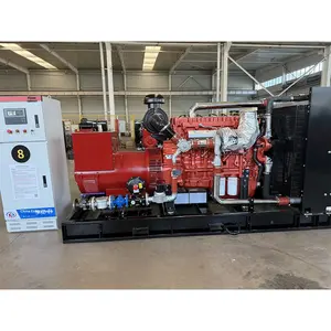 250kW Erdgas-Gleichstromgenerator-Set - Sauberer, Effizienter Kommerzieller Dreiphasen-<span class=keywords><strong>Generator</strong></span> 50Hz 400V Wasserkühlung 95% Effizienz SE250GF - Product Image 1