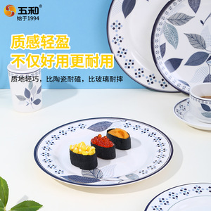 Dinnerware Set Round Melamine Plate Bpa Free Daily Use Minimalist Style - Product Image 5