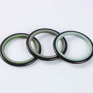 Kích thước tùy chỉnh Grs quay <span class=keywords><strong>PTFE</strong></span> Piston Rod con dấu cho môi trường ăn mòn - Product Image 1